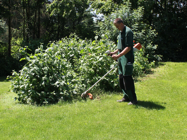 Garten- und Landschaftspflege