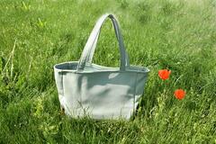 Shopper mint 