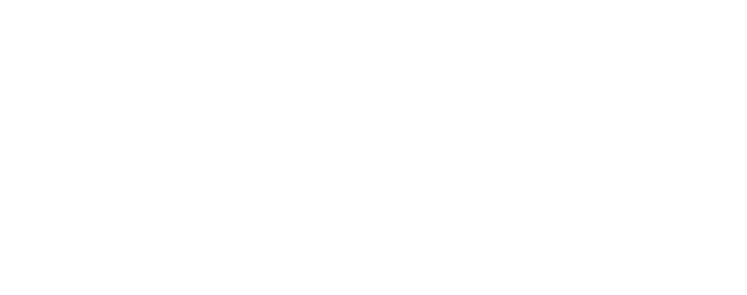 Lebenshilfe Logo weiß